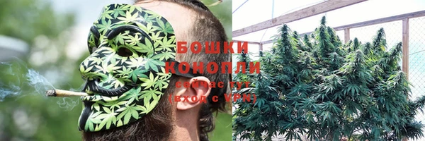 трава Волосово