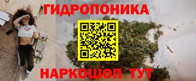 стафф Старая Купавна