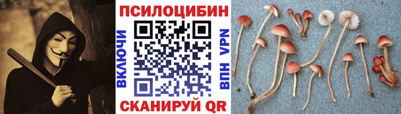 Псилоцибиновые грибы ЛСД  гидра рабочий сайт  Славянск-на-Кубани  где купить наркоту 