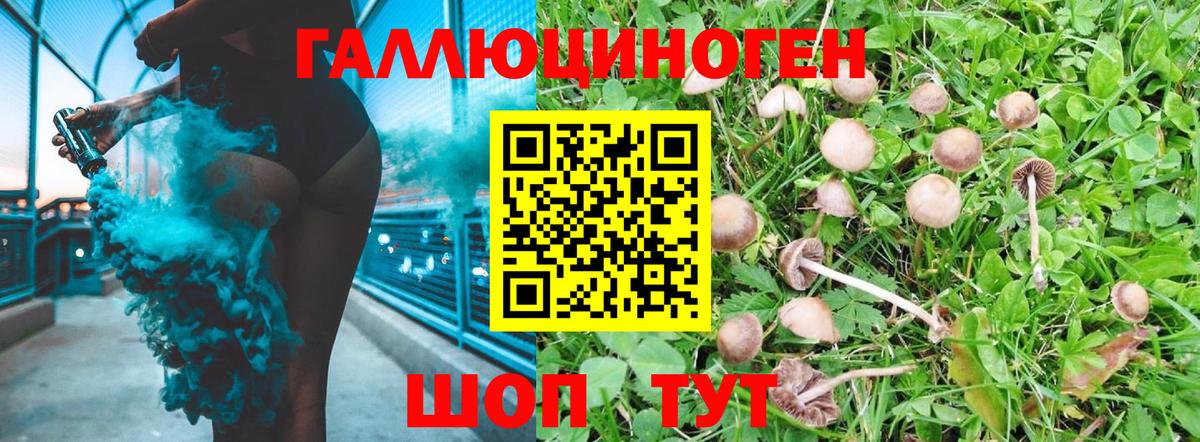 Галлюциногенные грибы Psilocybe  Вход с VPN  Славянск-на-Кубани 